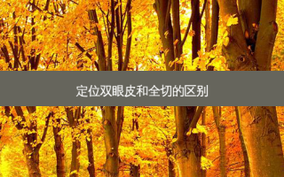定位双眼皮和全切的区别