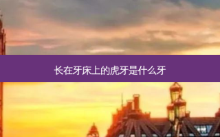 长在牙床上的虎牙是什么牙