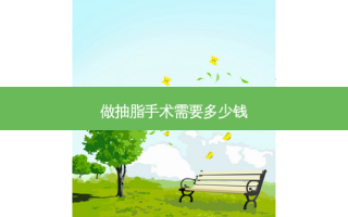 做抽脂手术需要多少钱