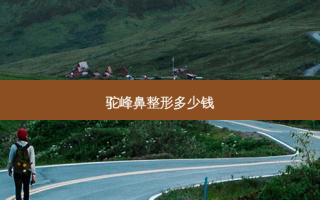 驼峰鼻整形多少钱