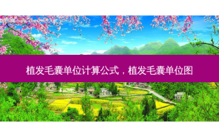 植发毛囊单位计算公式，植发毛囊单位图
