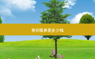 整容隆鼻要多少钱