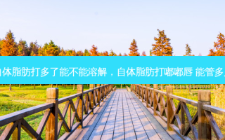 自体脂肪打多了能不能溶解，自体脂肪打嘟嘟唇 能管多久