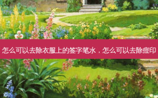 怎么可以去除衣服上的签字笔水，怎么可以去除痘印