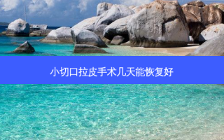 小切口拉皮手术几天能恢复好