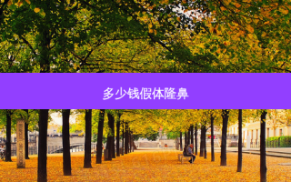 多少钱假体隆鼻