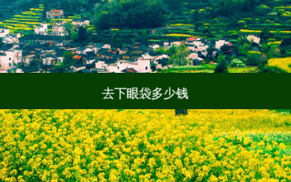 去下眼袋多少钱