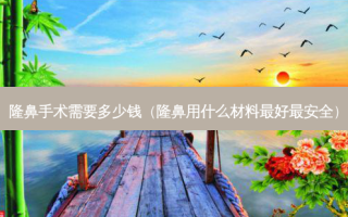 隆鼻手术需要多少钱（隆鼻用什么材料好 *** ）
