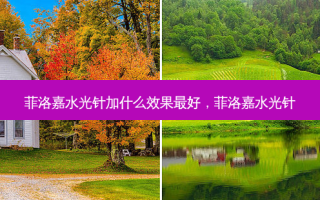 菲洛嘉水光针加什么效果 *** 好，菲洛嘉水光针
