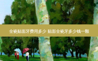全瓷贴面牙费用多少 贴面全瓷牙多少钱一颗