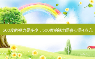 500度的视力是多少，500度的视力是多少是4点几