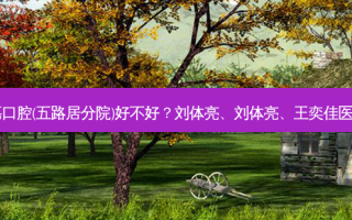 北京雅德嘉口腔(五路居分院)好不好？刘体亮、刘体亮、王奕佳医生怎么样？