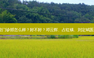 上海茂菊口腔门诊部怎么样？好不好？邓云辉、占红镇、刘定斌医生技术不错！