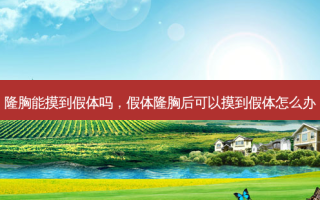 隆胸能摸到假体吗，假体隆胸后可以摸到假体怎么办