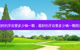 好的牙齿要多少钱一颗，好的牙齿要多少钱一颗图片