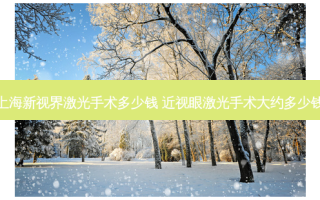 上海新视界激光手术多少钱 近视眼激光手术大约多少钱