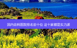 国内齿科医院排名前十位 这十家都是实力派