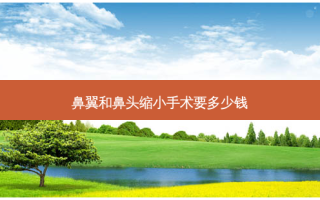 鼻翼和鼻头缩小手术要多少钱