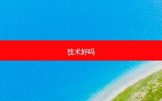 技术好吗