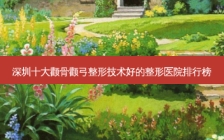 深圳十大颧骨颧弓整形技术好的整形医院排行榜