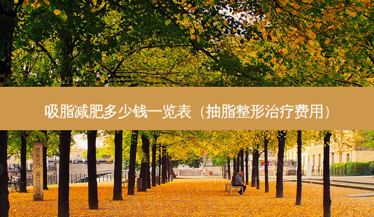 吸脂减肥多少钱一览表(抽脂整形费用)-第1张图片-容颜讯 吸脂减肥多少钱一览表(抽脂整形费用)-第1张图片-容颜讯
