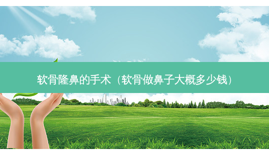 软骨隆鼻的手术（软骨做鼻子大概多少钱）-第1张图片-容颜讯