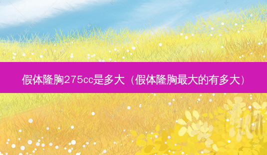 假体隆胸275cc是多大（假体隆胸大的有多大）-第1张图片-容颜讯