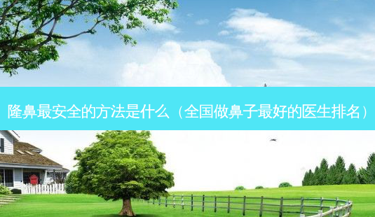 隆鼻 *** 的 *** 是什么（全国做鼻子好的医生排名）-第1张图片-容颜讯