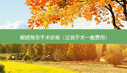 眼睛整形手术价格（近视手术一般费用）-第1张图片-容颜讯