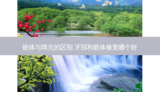嵌体与填充的区别 牙冠和嵌体修复哪个好-第1张图片-容颜讯 嵌体与填充的区别 牙冠和嵌体修复哪个好-第1张图片-容颜讯