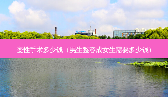 变性手术多少钱（男生整容成女生需要多少钱）-第1张图片-容颜讯