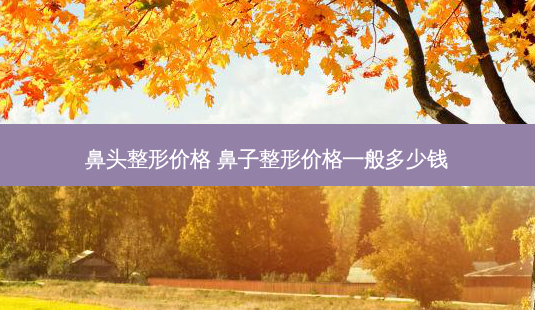 鼻头整形价格 鼻子整形价格一般多少钱-第1张图片-容颜讯