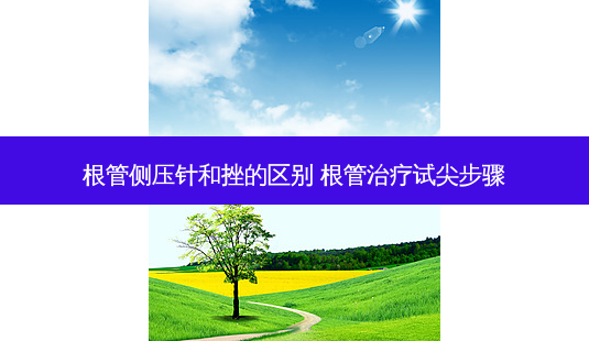 根管侧压针和挫的区别 根管试尖步骤-第1张图片-容颜讯 根管侧压针和挫的区别 根管试尖步骤-第1张图片-容颜讯