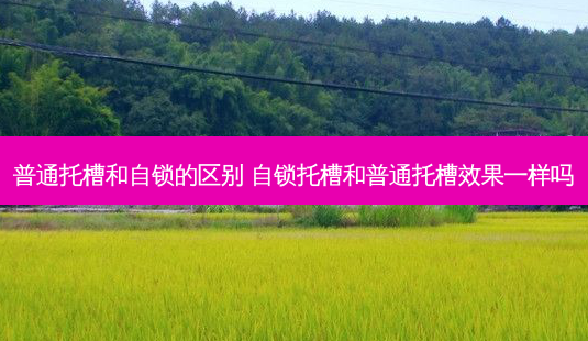 普通托槽和自锁的区别 自锁托槽和普通托槽效果一样吗-第1张图片-容颜讯 普通托槽和自锁的区别 自锁托槽和普通托槽效果一样吗-第1张图片-容颜讯