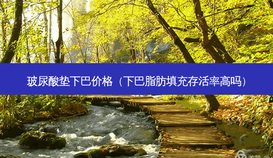 玻尿酸垫下巴价格(下巴脂肪填充高吗)-第1张图片-容颜讯 玻尿酸垫下巴价格(下巴脂肪填充高吗)-第1张图片-容颜讯