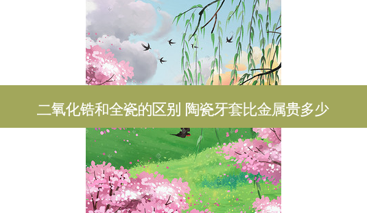 二氧化锆和全瓷的区别 陶瓷牙套比金属贵多少-第1张图片-容颜讯 二氧化锆和全瓷的区别 陶瓷牙套比金属贵多少-第1张图片-容颜讯