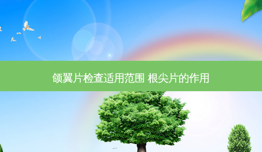 颌翼片检查适用范围 根尖片的作用-第1张图片-容颜讯 颌翼片检查适用范围 根尖片的作用-第1张图片-容颜讯