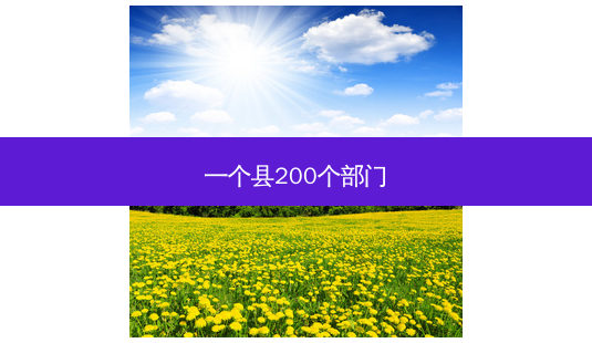 一个县200个部门-第1张图片-容颜讯