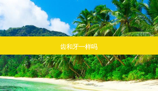 齿和牙一样吗-第1张图片-容颜讯 齿和牙一样吗-第1张图片-容颜讯