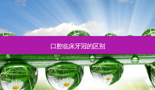 口腔临床牙冠的区别-第1张图片-容颜讯 口腔临床牙冠的区别-第1张图片-容颜讯