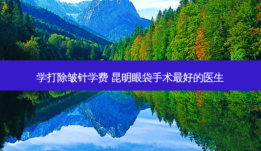学打除皱针学费 昆明眼袋手术好的医生-第1张图片-容颜讯