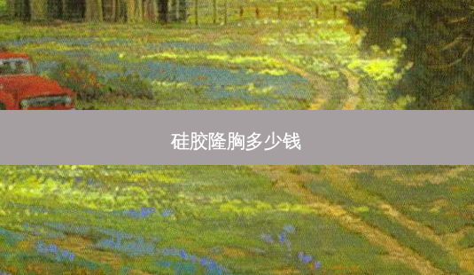 硅胶隆胸多少钱-第1张图片-容颜讯 硅胶隆胸多少钱-第1张图片-容颜讯