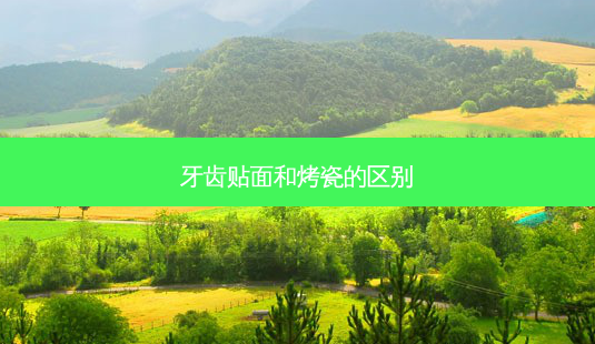 牙齿贴面和烤瓷的区别-第1张图片-容颜讯 牙齿贴面和烤瓷的区别-第1张图片-容颜讯