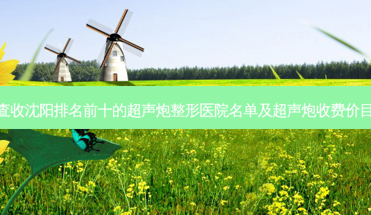 请查收沈阳排名前十的超声炮整形医院名单及超声炮收费价目表-第1张图片-容颜讯