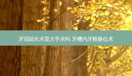 牙冠延长术是大手术吗 牙槽内牙根移位术-第1张图片-容颜讯