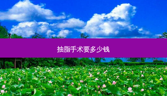抽脂手术要多少钱-第1张图片-容颜讯 抽脂手术要多少钱-第1张图片-容颜讯