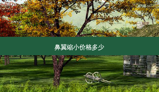 鼻翼缩小价格多少-第1张图片-容颜讯