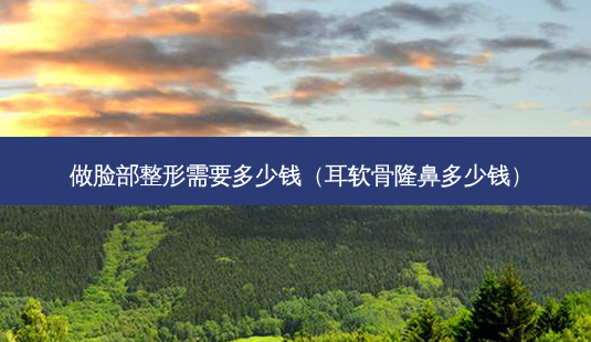 做脸部整形需要多少钱（耳软骨隆鼻多少钱）-第1张图片-容颜讯