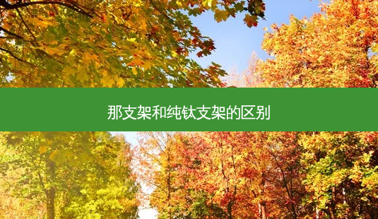 那支架和纯钛支架的区别-第1张图片-容颜讯