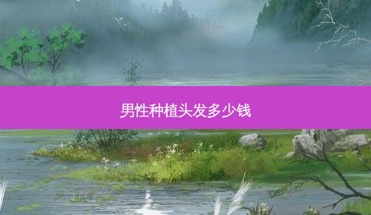 男性种植头发多少钱-第1张图片-容颜讯 男性种植头发多少钱-第1张图片-容颜讯